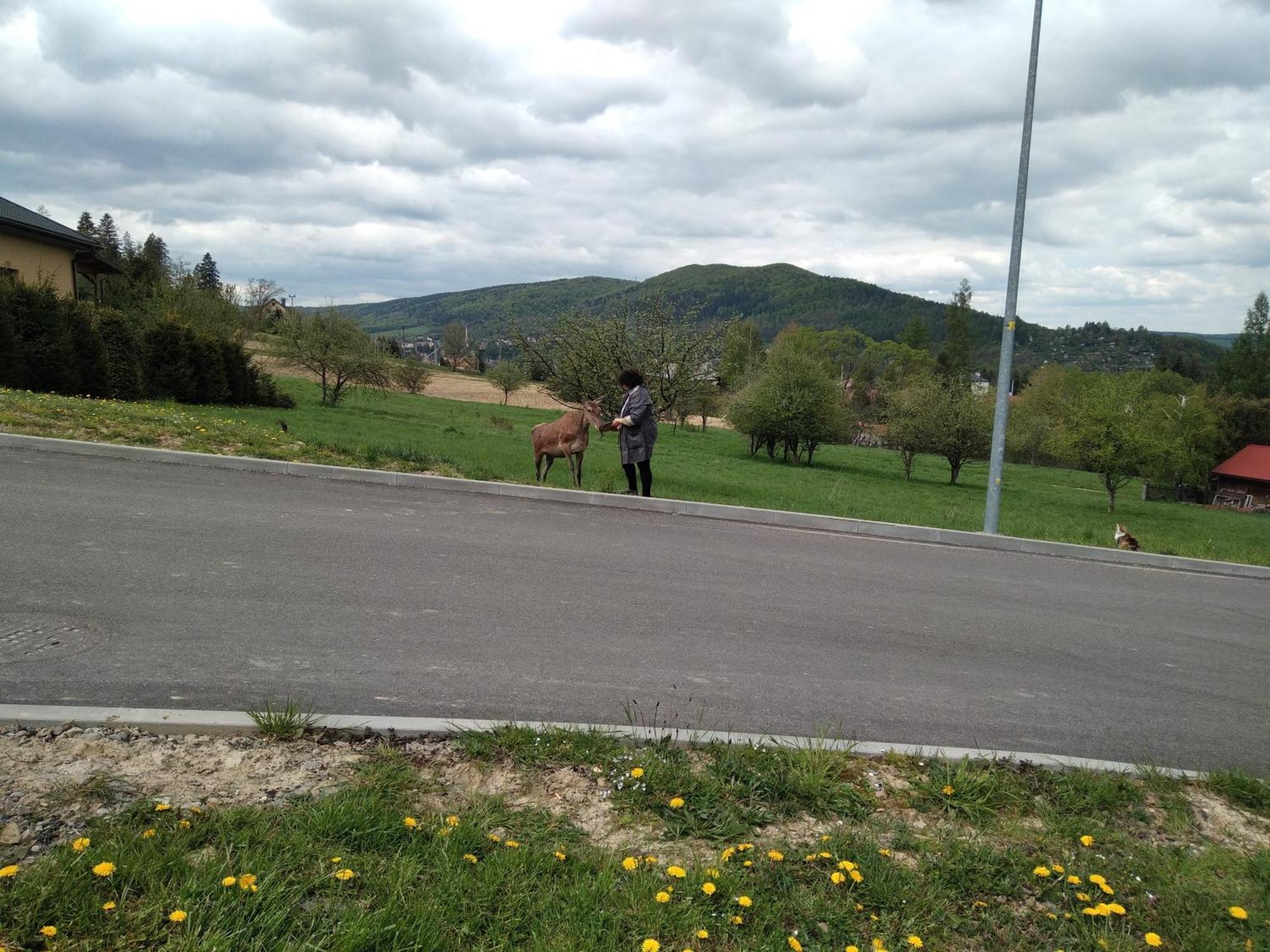 Ostoja Gromadzyn Apartamento Ustrzyki Dolne Exterior foto